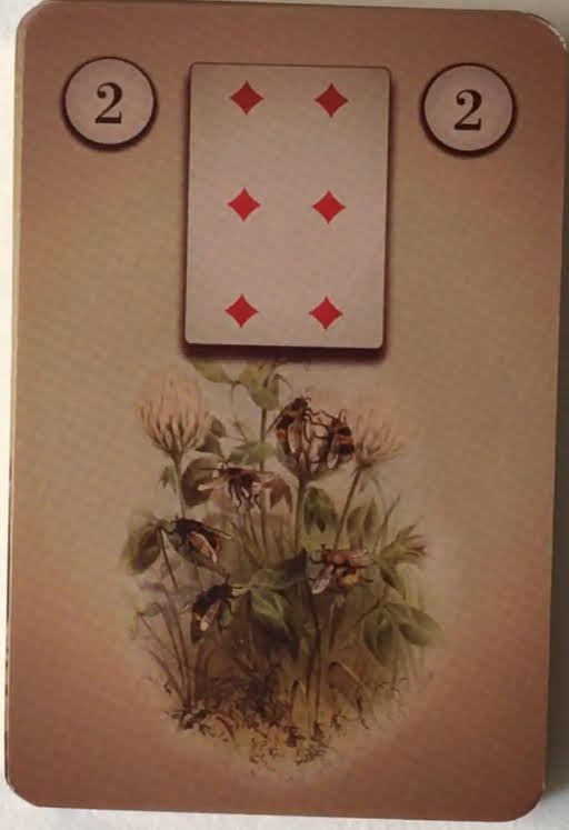 Lenormand Oracle Cards Musruck Alexandre